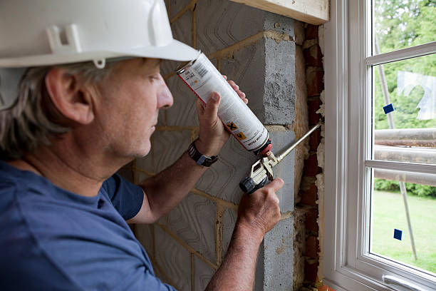 Best Cellulose Insulation  in Manly, IA
